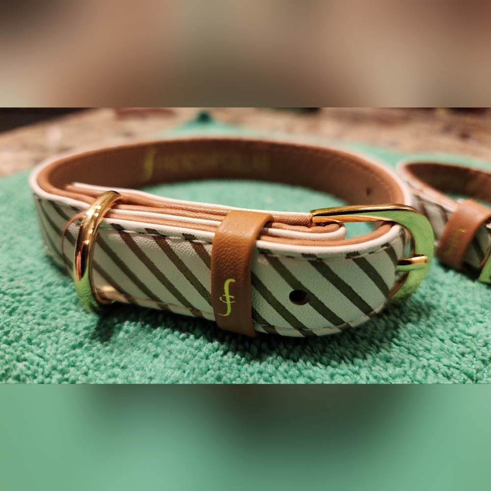 A SPECIAL FRIENDSHIP DOG COLLAR (11 to 14 inch) & Friendship Bracelet - Picture 4 of 12